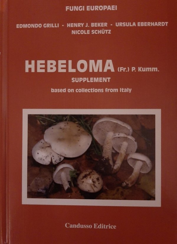 Fungi Europaei, vol. 14A - GRILLI, E. et al. - Hebeloma supplement