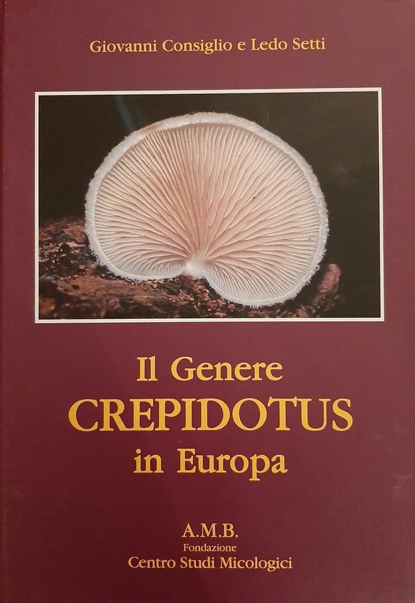 CONSIGLIO, G. & SETTI, L. - Il genere Crepidotus in Europa