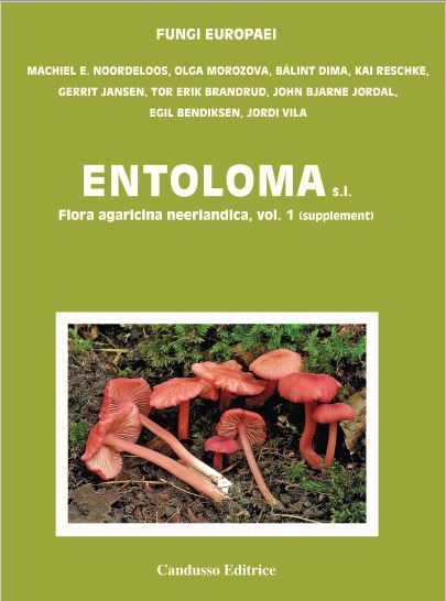 Fungi Europaei, vol. 5B - NOORDELOOS, M.E. et al. - Entoloma supplement