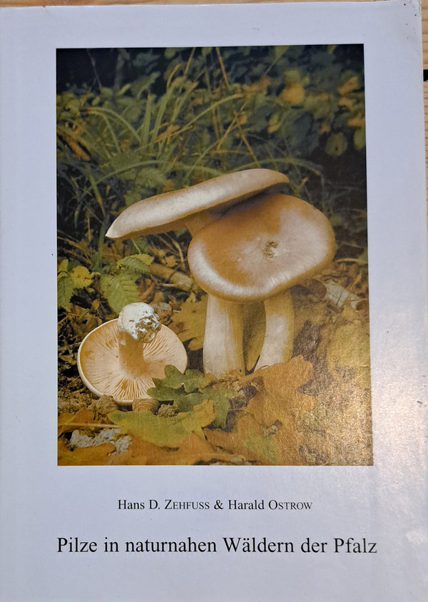 ZEHFUSS & OSTROW - Pilze in naturnahen Wäldern der Pfalz